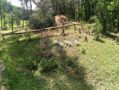 Stio para Venda, em Biritiba-Mirim, bairro ,,,, 3 dormitrios, 1 banheiro