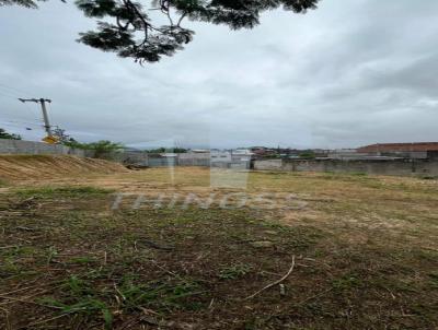 Terreno para Venda, em So Sebastio, bairro Jaragu