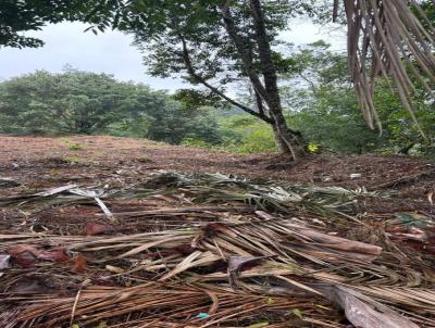 Terreno para Venda, em Guaramirim, bairro Amizade