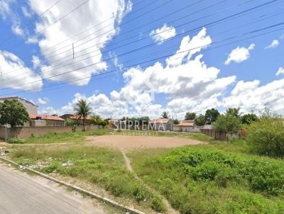 Terreno para Venda, em Paulo Afonso, bairro Cardeal Brando Vilela