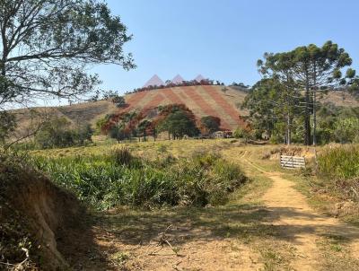 Fazenda para Venda, em So Loureno, bairro Centro