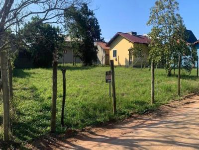 Terreno para Venda, em Garopaba, bairro GRAMA