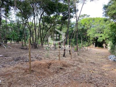 Terreno para Venda, em Confins, bairro Tavares