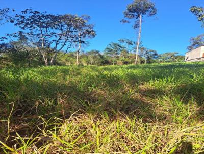 Stio / Chcara para Venda, em Gravata, bairro Santa cruz