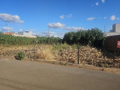 Lote para Venda, em Carmo do Paranaba, bairro RESIDENCIAL NOVA FLORESTA