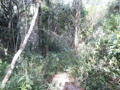 Terreno para Venda, em Suzano, bairro Vale da Serra