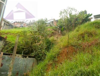 Terreno para Venda, em Ribeiro Pires, bairro Roncon, 1 dormitrio, 1 banheiro, 1 vaga