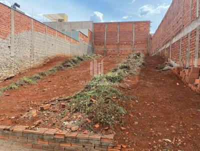 Terreno para Venda, em Pederneiras, bairro Centro