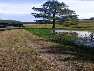 Chcara para Venda, em Correia Pinto, bairro .