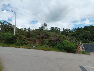 Terreno para Venda, em Jarinu, bairro Parque Antonio A Pereira