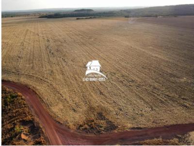 Fazenda para Locao, em Palmas, bairro Plano Diretor Sul