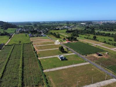 Terreno para Venda, em Sombrio, bairro Nova Guarita