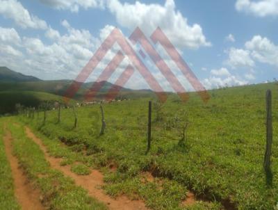 Fazenda para Venda, em Pouso Alegre, bairro Solar dos Quitas