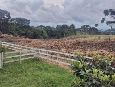 Terreno para Venda, em Painel, bairro .