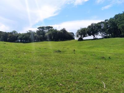 rea para Venda, em Fazenda Rio Grande, bairro Eucaliptos