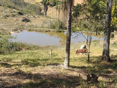 Fazenda para Venda, em Carmpolis de Minas, bairro zona rural, 3 dormitrios, 1 banheiro, 13 vagas