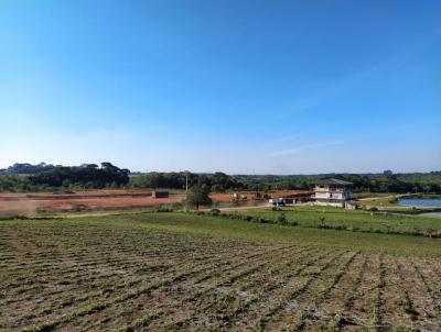 rea Industrial para Venda, em Fazenda Rio Grande, bairro Eucaliptos