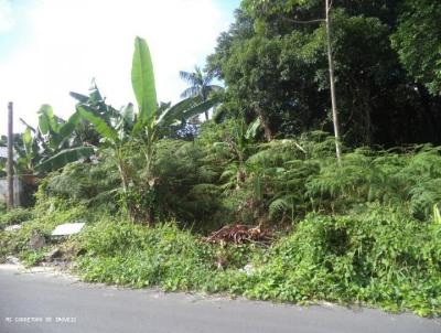 Terreno para Venda, em Guaratuba, bairro NEREIDAS, RUA MARIA ELISA COSTA MARIN