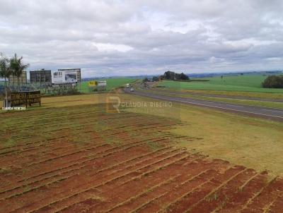 rea para Venda, em Rolndia, bairro BR