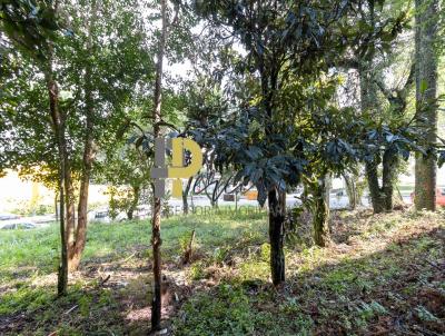 Terreno para Venda, em Curitiba, bairro Boa Vista