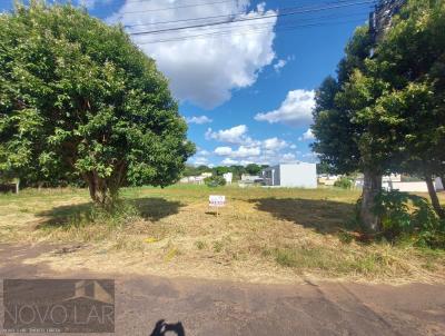 Terreno para Venda, em Adamantina, bairro Residencial Rio Branco