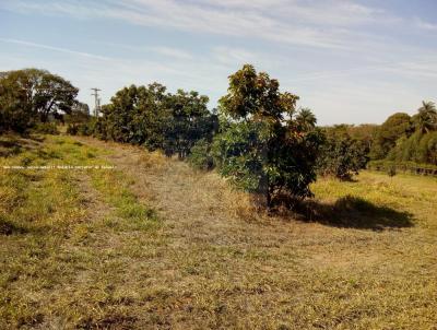 Stio para Venda, em Monte Santo de Minas, bairro REA RURAL, 3 dormitrios, 2 banheiros, 1 vaga