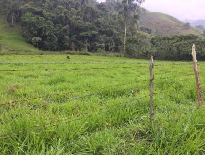 Stio / Chcara para Venda, em Marliria, bairro RURAL