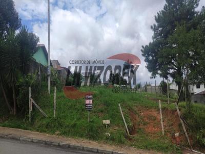 Terreno para Venda, em Contenda, bairro Jardim Cionek