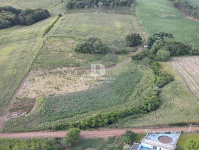 Chcara para Venda, em Erechim, bairro DESVIO BECKER