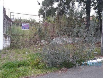 Terreno para Venda, em Novo Hamburgo, bairro So Jorge