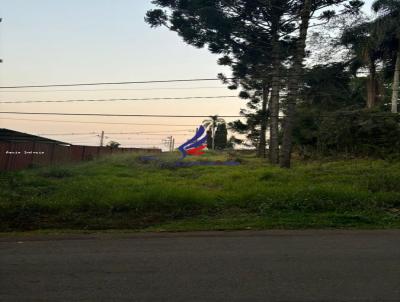 Terreno em Condomnio para Venda, em Cotia, bairro Quinta dos Angicos