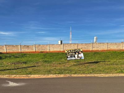 Lote para Venda, em Botucatu, bairro Condomnio Reserva Central Parque