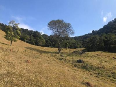 rea Rural para Venda, em Sapuca-Mirim, bairro Centro