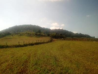 rea Rural para Venda, em Xaxim, bairro Linha Luiz Lunardi