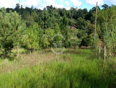 Chcara para Venda, em Campo Bom, bairro Quatro Colnias