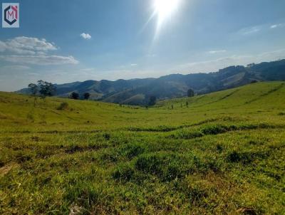 Stio para Venda, em Pinhalzinho, bairro Centro, 2 dormitrios, 1 banheiro, 1 vaga