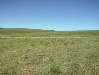 Fazenda para Venda, em Bag, bairro RS