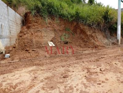 Terreno para Venda, em Santana de Parnaba, bairro Cidade So Pedro - Gleba A