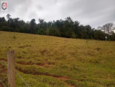 Stio para Venda, em Pinhalzinho, bairro Centro, 2 dormitrios, 2 banheiros, 2 vagas