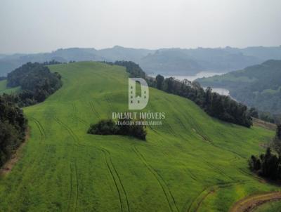 Fazenda para Venda, em Mariano Moro, bairro 8 km da cidade