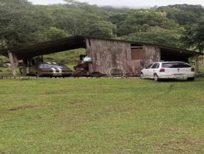 Fazenda para Venda, em Trs Forquilhas, bairro RS