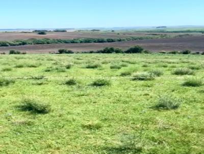 Fazenda para Venda, em Acegu, bairro RS