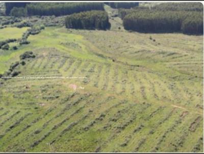 Fazenda para Venda, em Pinheiro Machado, bairro RS