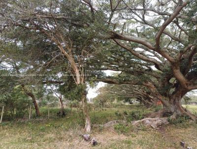 Fazenda para Venda, em So Jos do Norte, bairro RS