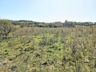 Fazenda para Venda, em Pinheiro Machado, bairro RS