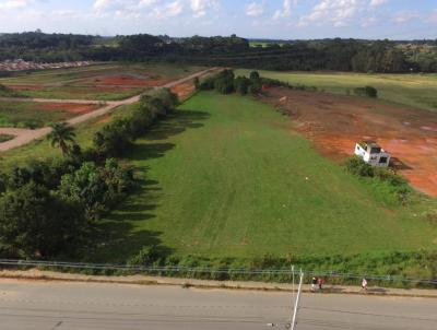 rea para Locao, em Fazenda Rio Grande, bairro Veneza