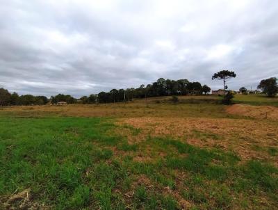 rea para Venda, em Mandirituba, bairro Colonia Lima