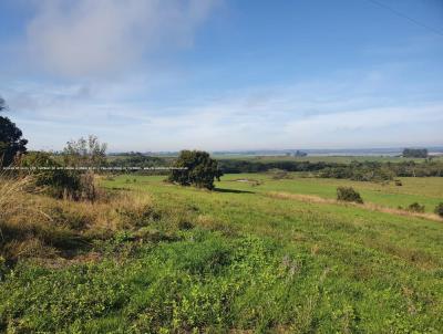 Fazenda para Venda, em Santa Maria, bairro RS