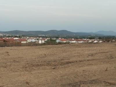 Terreno Residencial para Venda, em Currais Novos, bairro Radi Pereira