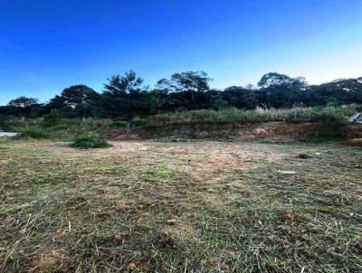 Terreno para Venda, em So Bento do Sul, bairro Alpino